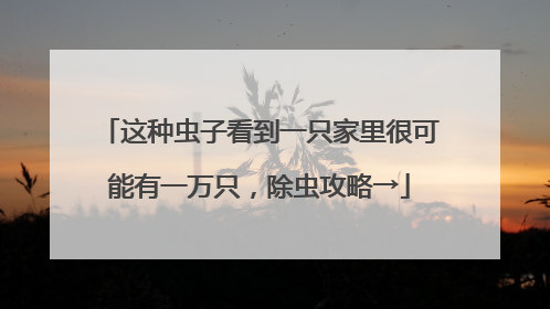 这种虫子看到一只家里很可能有一万只，除虫攻略→