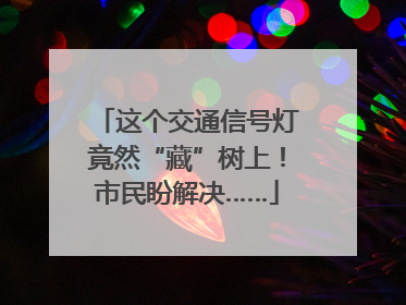 这个交通信号灯竟然“藏”树上！市民盼解决……
