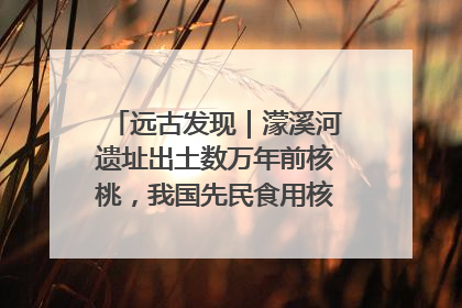 远古发现｜濛溪河遗址出土数万年前核桃，我国先民食用核桃历史大幅提前