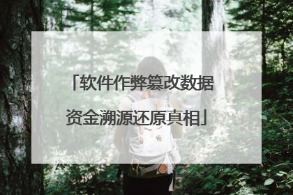 软件作弊篡改数据 资金溯源还原真相