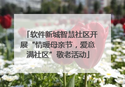 软件新城智慧社区开展“情暖母亲节，爱意满社区”敬老活动