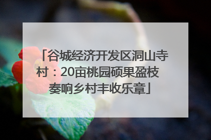 谷城经济开发区洞山寺村：20亩桃园硕果盈枝 奏响乡村丰收乐章