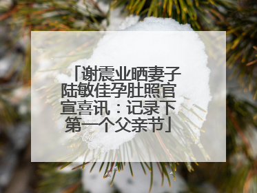谢震业晒妻子陆敏佳孕肚照官宣喜讯：记录下第一个父亲节