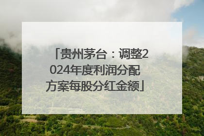 贵州茅台：调整2024年度利润分配方案每股分红金额