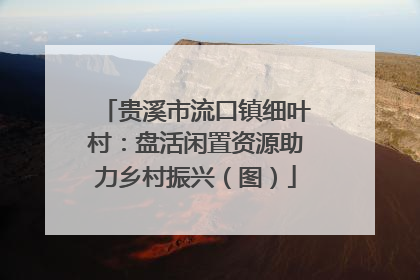 贵溪市流口镇细叶村：盘活闲置资源助力乡村振兴（图）