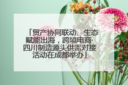 贸产协同联动、生态赋能出海，跨境电商·四川制造源头供需对接活动在成都举办