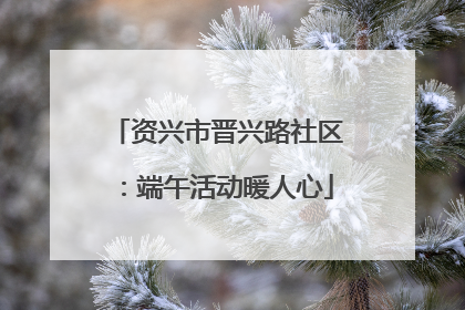 资兴市晋兴路社区：端午活动暖人心