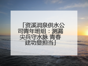 资溪润泉供水公司青年班组：测漏尖兵守水脉 青春建功显担当