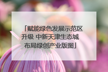赋能绿色发展示范区升级 中新天津生态城布局绿创产业版图