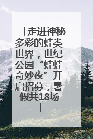 走进神秘多彩的蛙类世界，世纪公园“蛙蛙奇妙夜”开启招募，暑假共18场