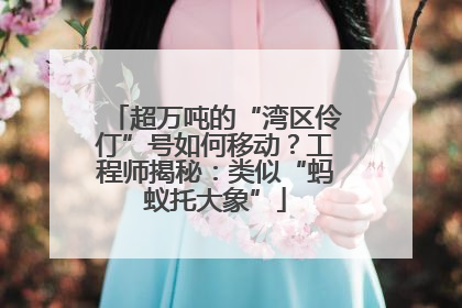 超万吨的“湾区伶仃”号如何移动？工程师揭秘：类似“蚂蚁托大象”