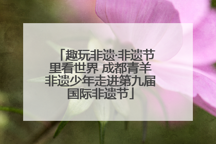 趣玩非遗·非遗节里看世界 成都青羊非遗少年走进第九届国际非遗节