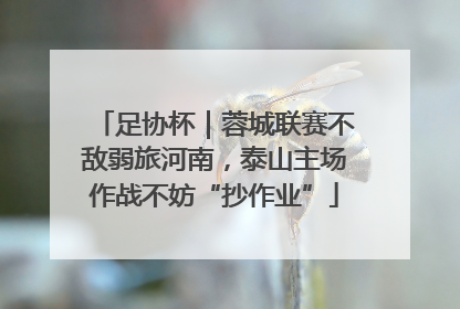 足协杯｜蓉城联赛不敌弱旅河南，泰山主场作战不妨“抄作业”