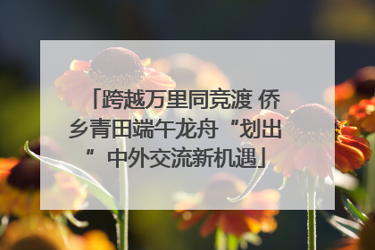 跨越万里同竞渡 侨乡青田端午龙舟“划出”中外交流新机遇