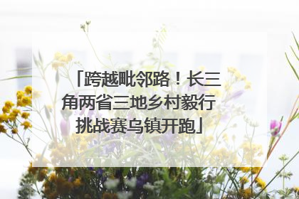 跨越毗邻路！长三角两省三地乡村毅行挑战赛乌镇开跑