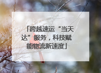 跨越速运“当天达”服务，科技赋能物流新速度