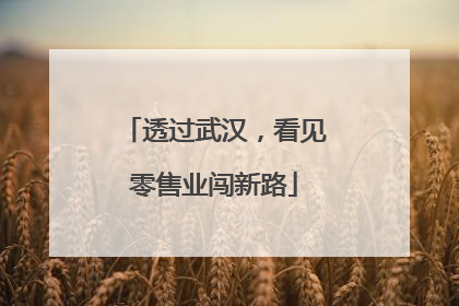 透过武汉，看见零售业闯新路