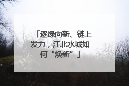 逐绿向新、链上发力，江北水城如何“焕新”