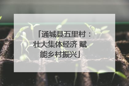 通城县五里村：壮大集体经济 赋能乡村振兴