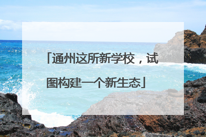 通州这所新学校，试图构建一个新生态
