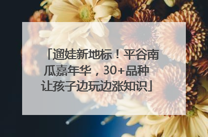 遛娃新地标！平谷南瓜嘉年华，30+品种让孩子边玩边涨知识