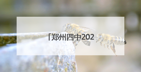 郑州四中2025年招生简章
