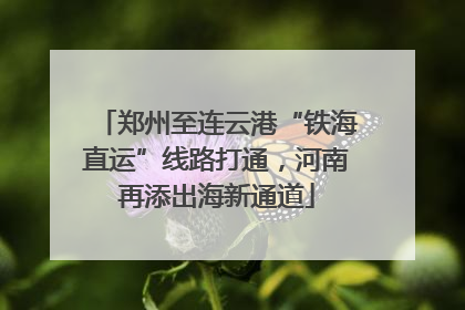 郑州至连云港“铁海直运”线路打通，河南再添出海新通道