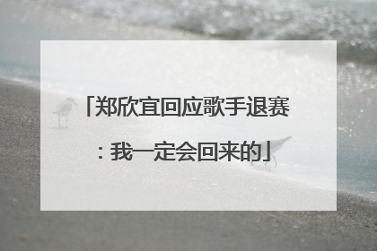 郑欣宜回应歌手退赛：我一定会回来的