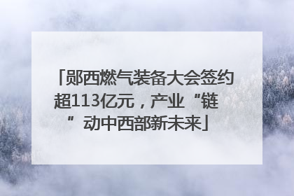 郧西燃气装备大会签约超113亿元，产业“链”动中西部新未来