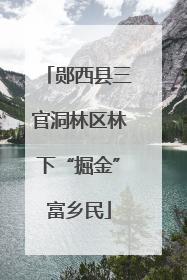 郧西县三官洞林区林下“掘金”富乡民