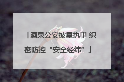 酒泉公安披星执甲 织密防控“安全经纬”