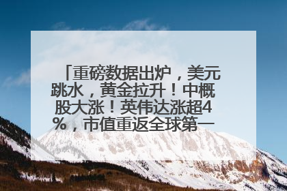 重磅数据出炉，美元跳水，黄金拉升！中概股大涨！英伟达涨超4%，市值重返全球第一！黄仁勋计划出售至多600万股股票