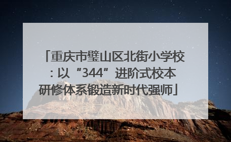 重庆市璧山区北街小学校：以“344”进阶式校本研修体系锻造新时代强师