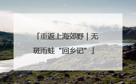 重返上海郊野｜无斑雨蛙“回乡记”