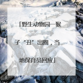 野生动物园一猴子“丑”出圈，当地保育员回应