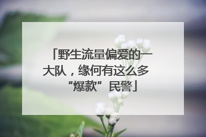野生流量偏爱的一大队，缘何有这么多“爆款”民警