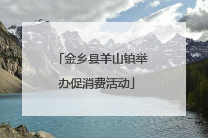 金乡县羊山镇举办促消费活动