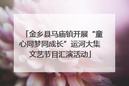 金乡县马庙镇开展“童心同梦同成长”运河大集文艺节目汇演活动