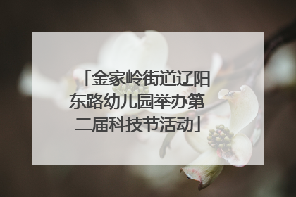 金家岭街道辽阳东路幼儿园举办第二届科技节活动