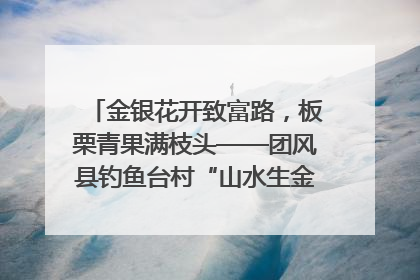 金银花开致富路，板栗青果满枝头——团风县钓鱼台村“山水生金”谱写共富新篇章