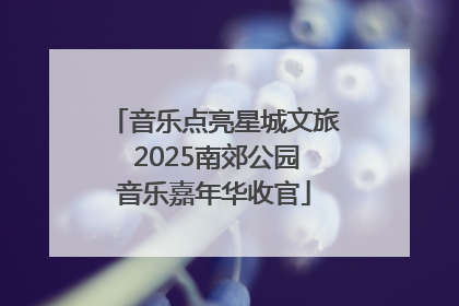 音乐点亮星城文旅 2025南郊公园音乐嘉年华收官