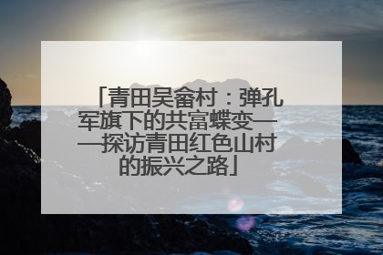 青田吴畲村：弹孔军旗下的共富蝶变——探访青田红色山村的振兴之路