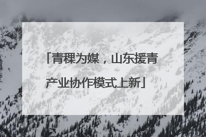 青稞为媒，山东援青产业协作模式上新