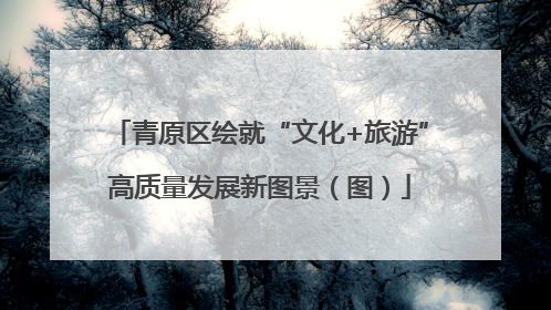 青原区绘就“文化+旅游”高质量发展新图景（图）