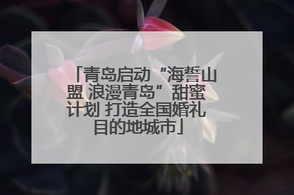 青岛启动“海誓山盟 浪漫青岛”甜蜜计划 打造全国婚礼目的地城市
