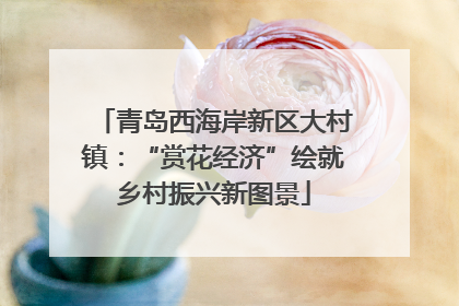 青岛西海岸新区大村镇：“赏花经济”绘就乡村振兴新图景