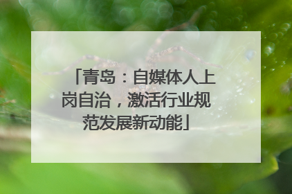 青岛：自媒体人上岗自治，激活行业规范发展新动能