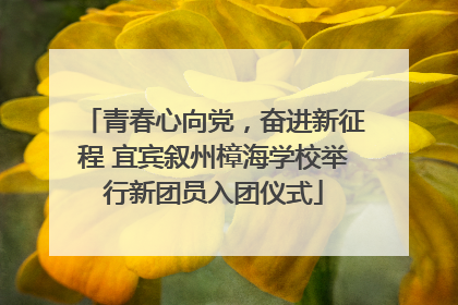 青春心向党，奋进新征程 宜宾叙州樟海学校举行新团员入团仪式