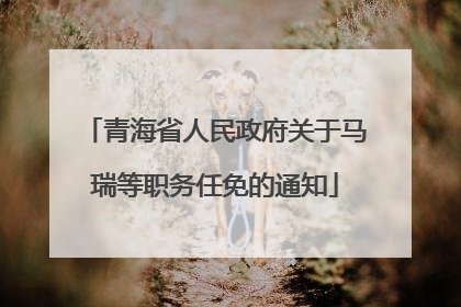 青海省人民政府关于马瑞等职务任免的通知