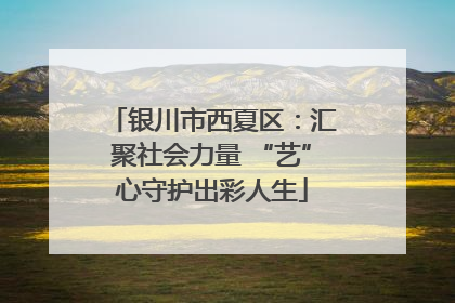 银川市西夏区：汇聚社会力量 “艺”心守护出彩人生
